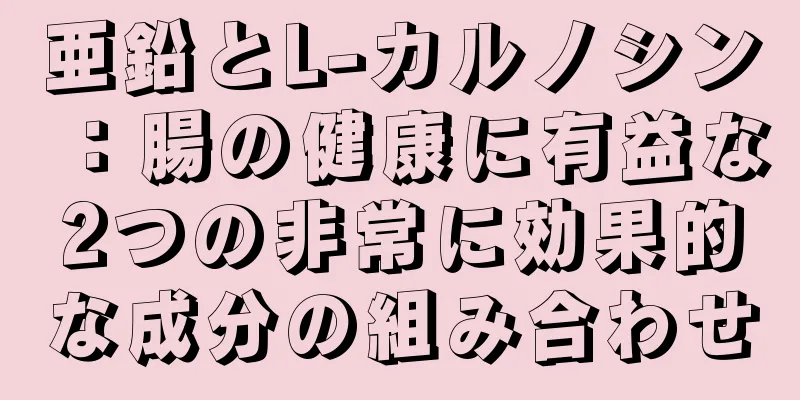 亜鉛とL-カルノシン：腸の健康に有益な2つの非常に効果的な成分の組み合わせ