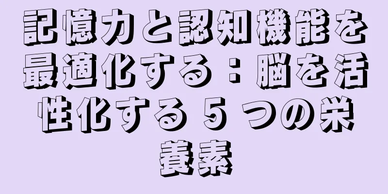記憶力と認知機能を最適化する：脳を活性化する 5 つの栄養素