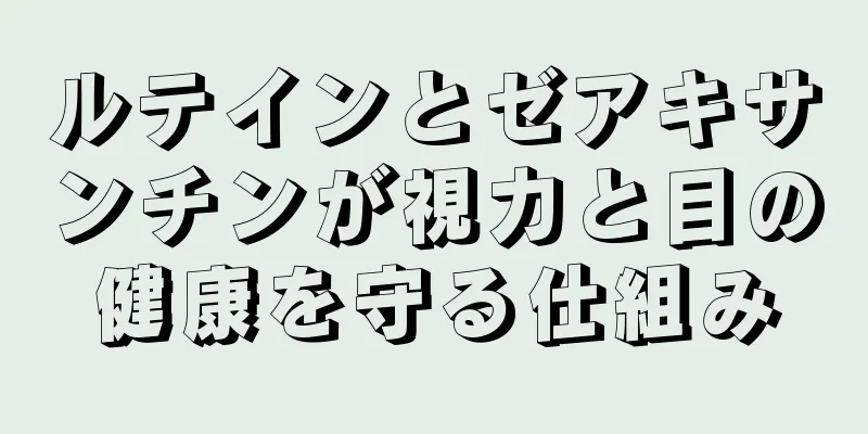 ルテインとゼアキサンチンが視力と目の健康を守る仕組み