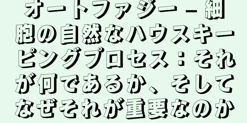 オートファジー – 細胞の自然なハウスキーピングプロセス：それが何であるか、そしてなぜそれが重要なのか