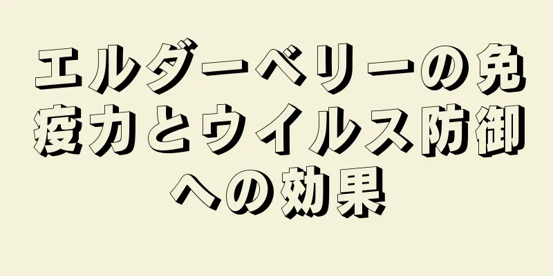エルダーベリーの免疫力とウイルス防御への効果