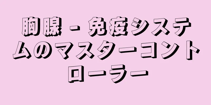 胸腺 - 免疫システムのマスターコントローラー