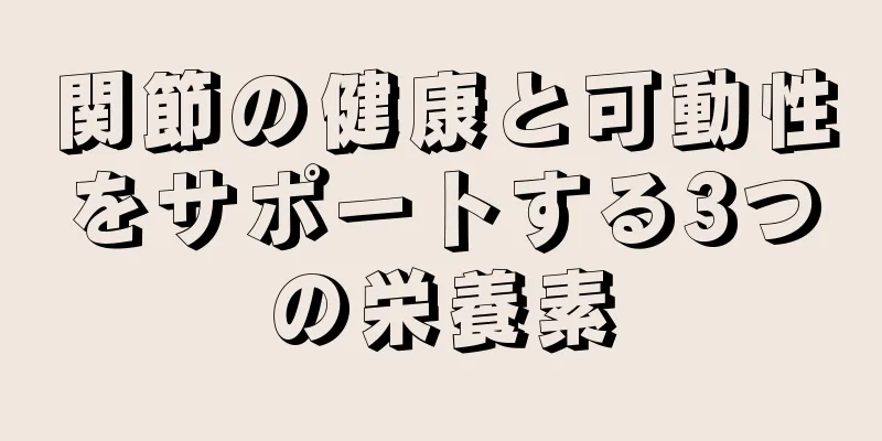関節の健康と可動性をサポートする3つの栄養素