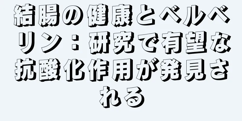 結腸の健康とベルベリン：研究で有望な抗酸化作用が発見される