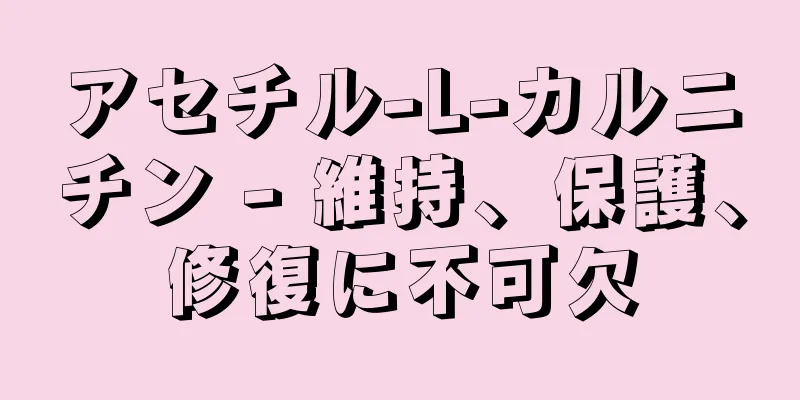 アセチル-L-カルニチン - 維持、保護、修復に不可欠