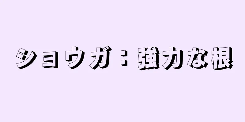 ショウガ：強力な根
