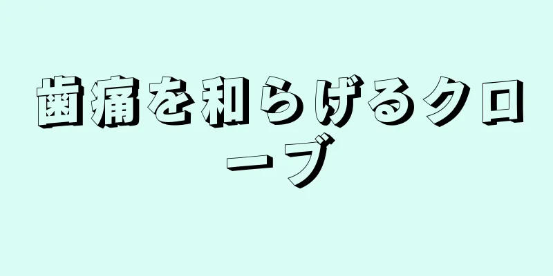 歯痛を和らげるクローブ