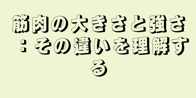 筋肉の大きさと強さ：その違いを理解する