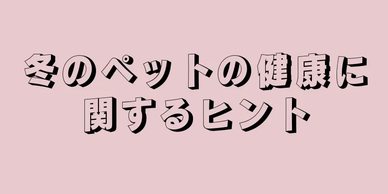 冬のペットの健康に関するヒント