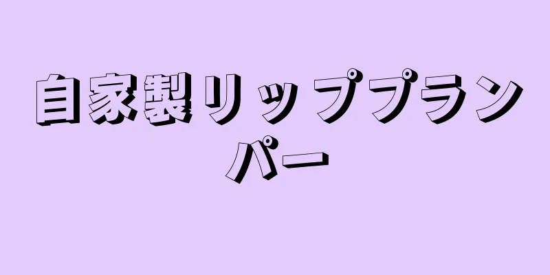 自家製リッププランパー