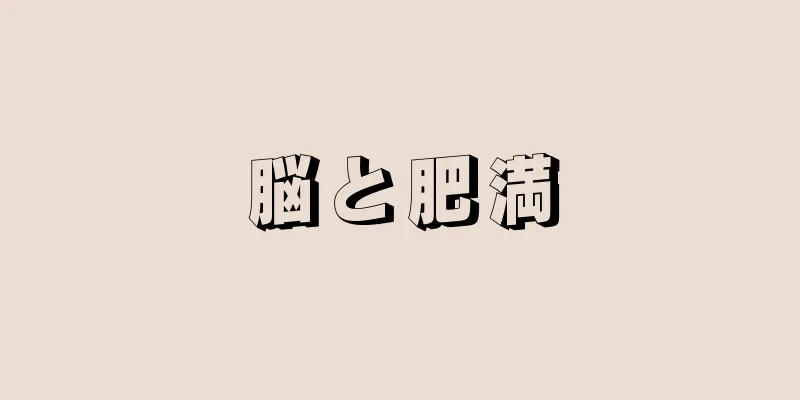 脳と肥満