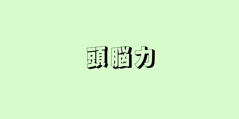 頭脳力