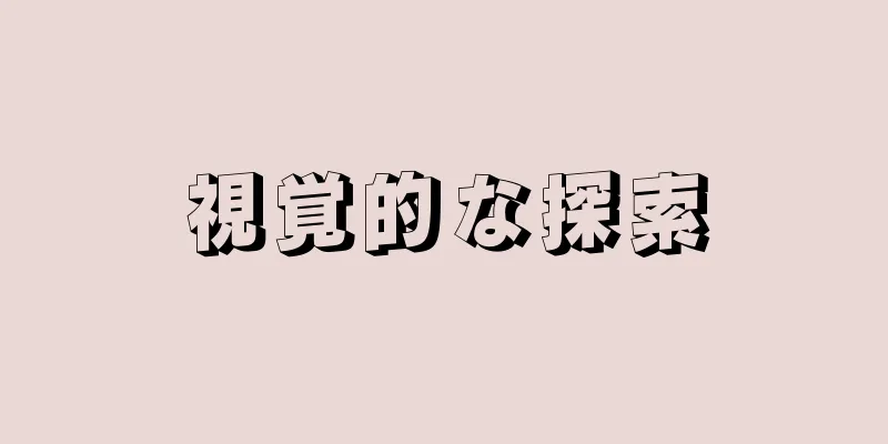 視覚的な探索