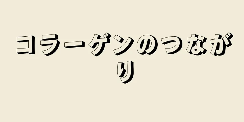 コラーゲンのつながり